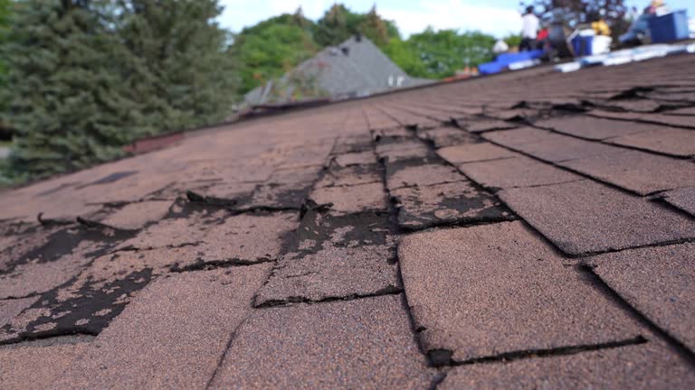 Best Roofing for New Construction  in Cornelia, GA