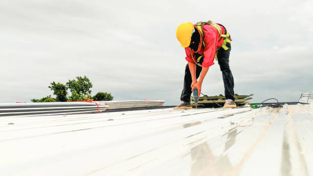 Best Roof Coating and Sealing  in Cornelia, GA